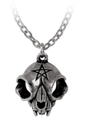 Polished Cat Skull Pendant With Pentagram Design