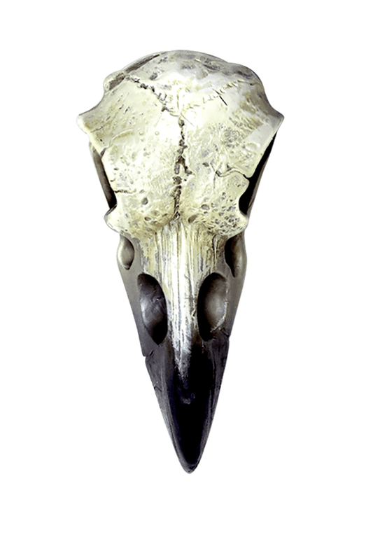 Reliquary Raven Skull Pendant Talisman for Ritual Use