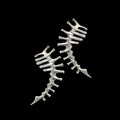 Thorn Spine Mechanical Alloy Skull Ear Cuff